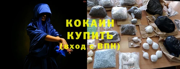 дживик Богородск