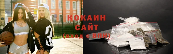 дживик Богородск