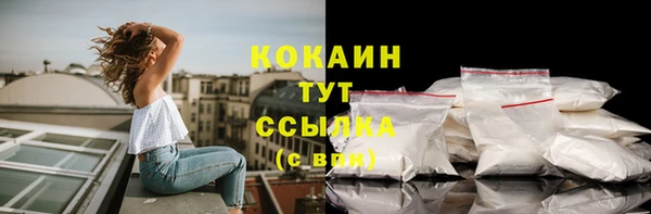 дживик Богородск