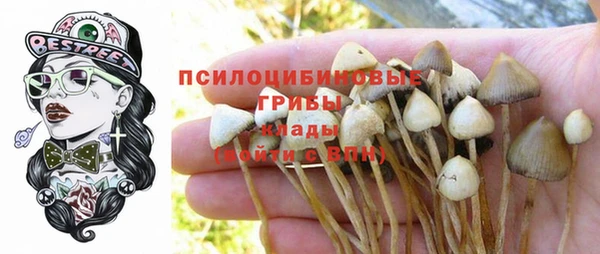дживик Богородск