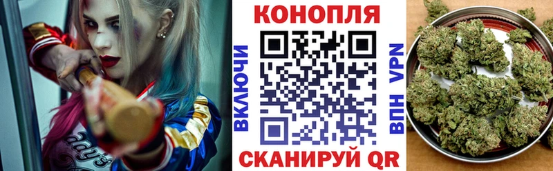 МАРИХУАНА семена Кочубеевское